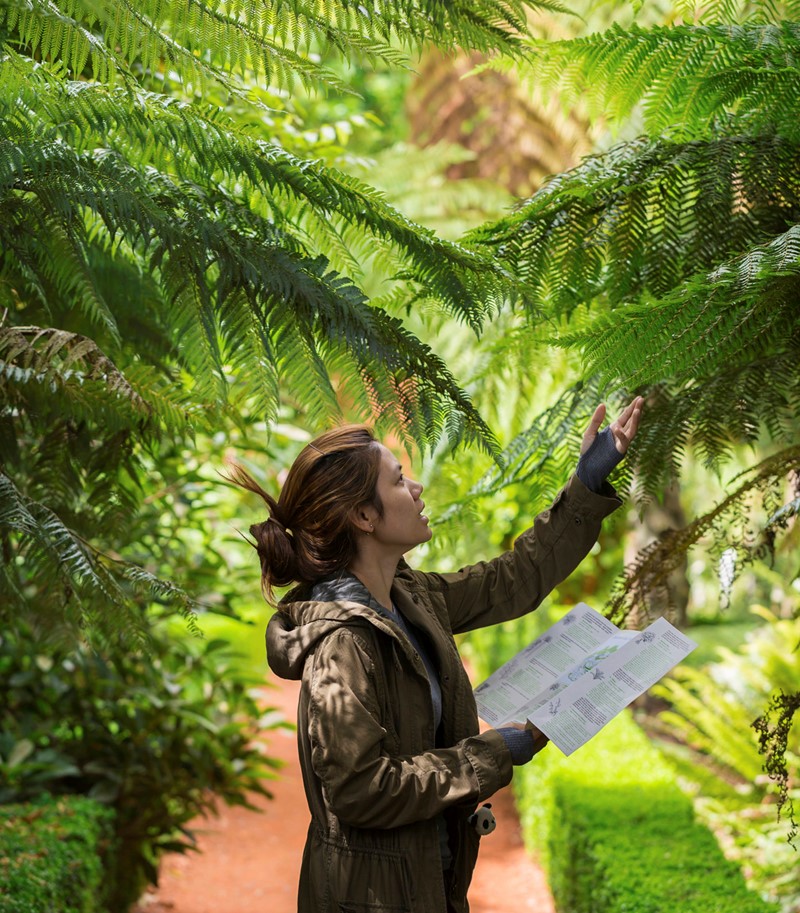 Woman outdoors examining a branch with botanical reference leaflet in hand