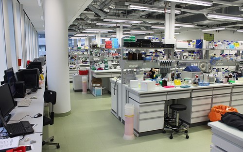 View of a laboratory with rows of tables filled with scientific equipment and computers