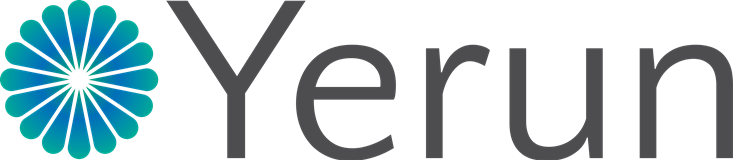 YERUN - Young European Research Universities logo